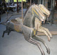 Primitive Horses with Visible Braces